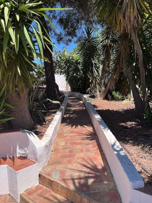 Beautiful Private Villa With Pool, Boliqueime, Loule 外观 照片