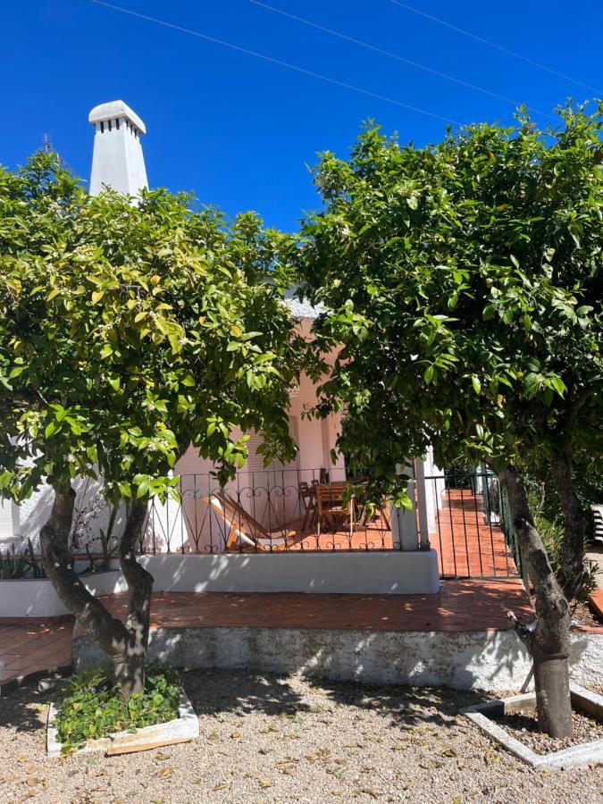 Beautiful Private Villa With Pool, Boliqueime, Loule 外观 照片